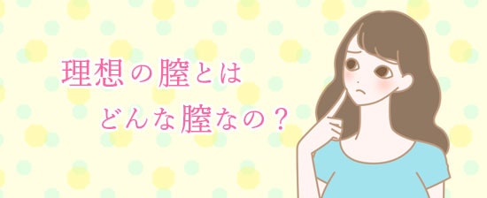 理想の膣とはどんな膣ですか?