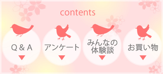 目次