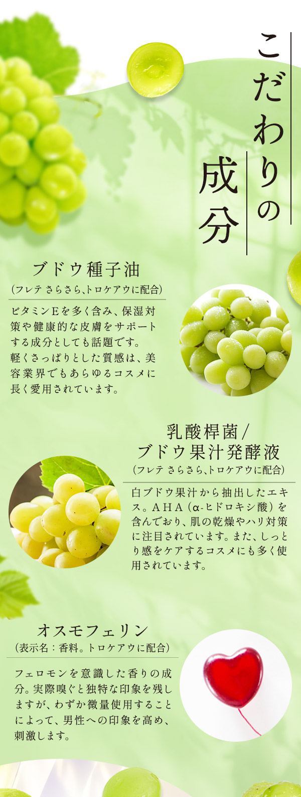 【本店】 特別企画 芳悦の実〜何度も求められる〜 こだわり成分