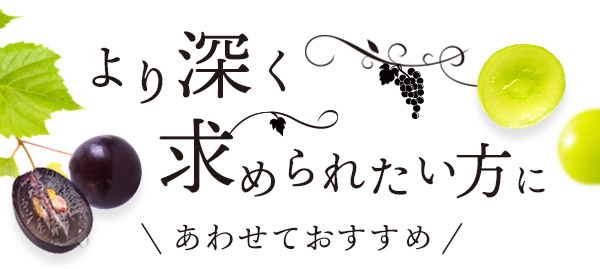 【本店】 特別企画 芳悦の実〜何度も求められる〜 合わせてオススメ商品一覧