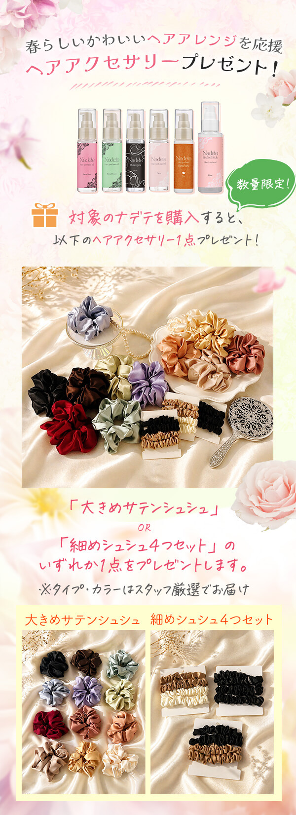 ���ł������c��������I�L�����y�[���̏ڍ�