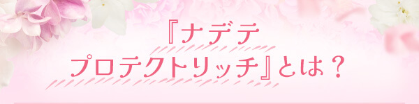 �i�f�e�@�v���e�N�g���b�`�Ƃ́H