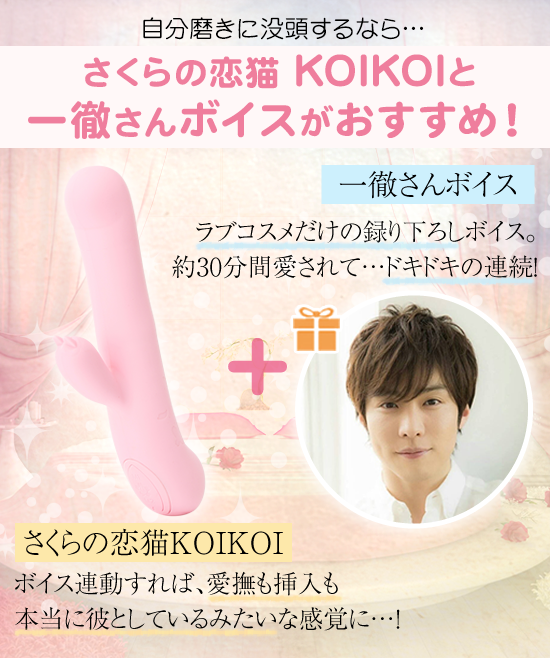 ԌIOR{v[g