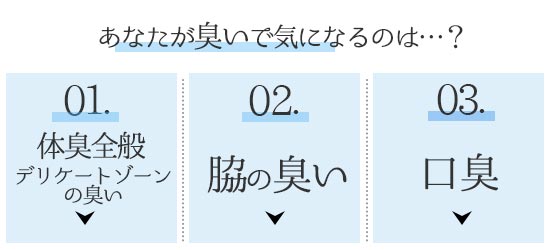 もくじ