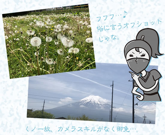 タイトル