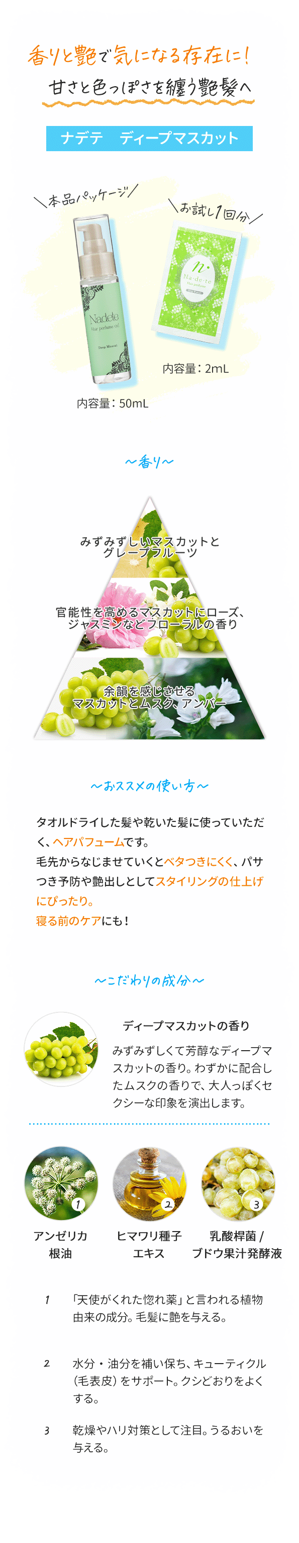 ife@fB[v}XJbgڍ