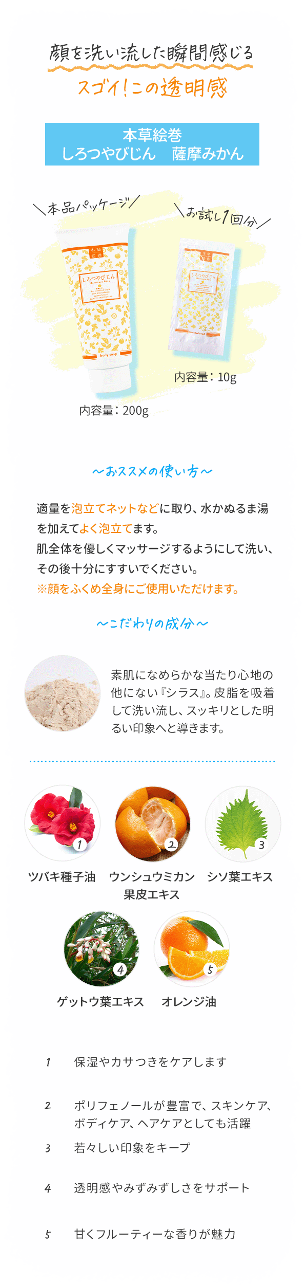 т@F݂ڍ