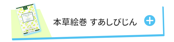 すあじびじん