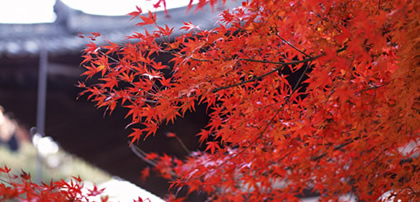 京都