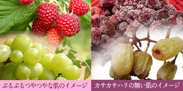マスカットとラズベリーのみずみずしいVSかさかさ画像