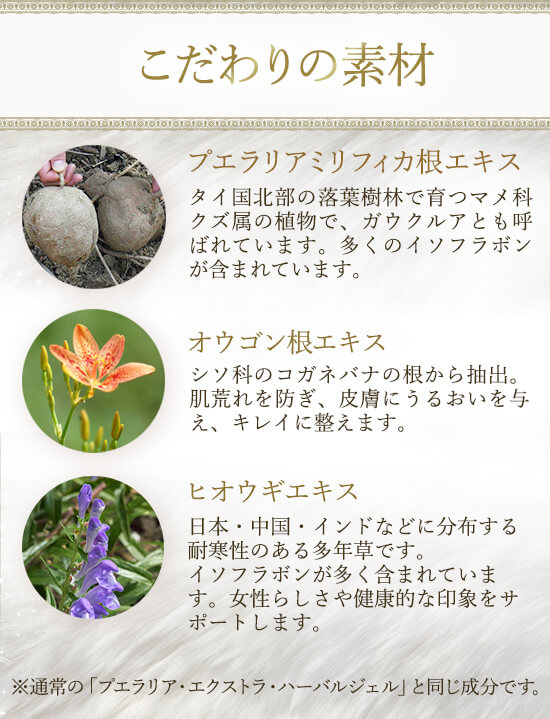 こだわりの素材