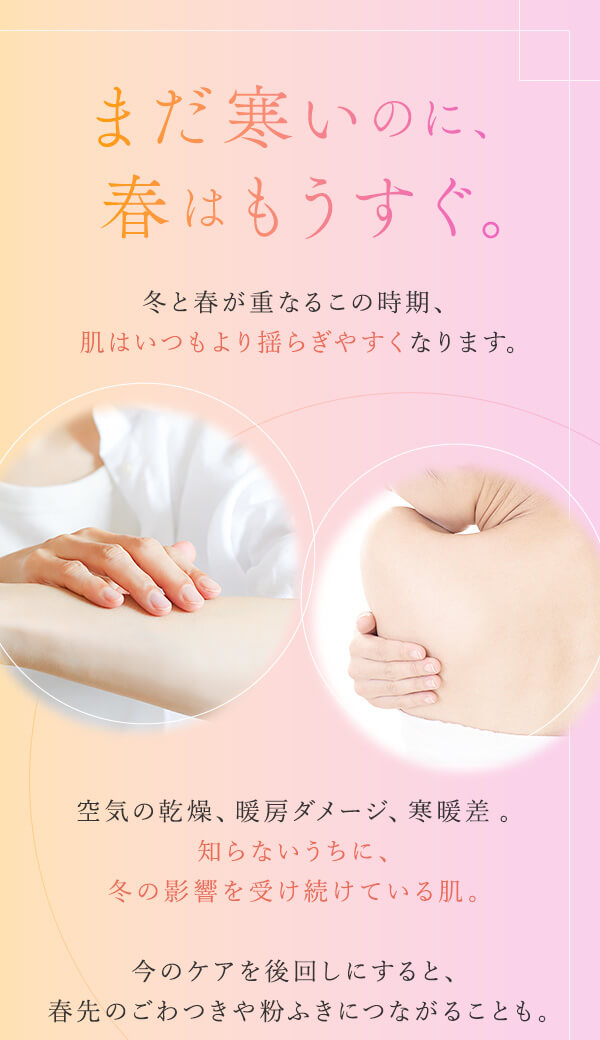 �v�G�����A�ێ��Q�� �C���g��