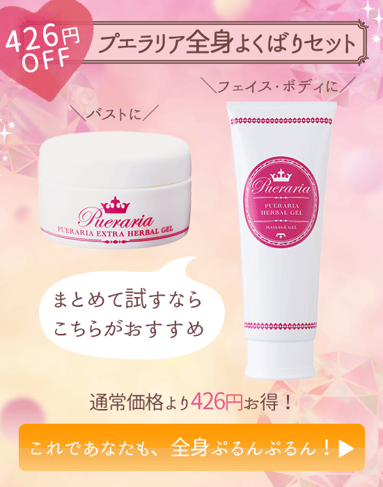よくばりセット