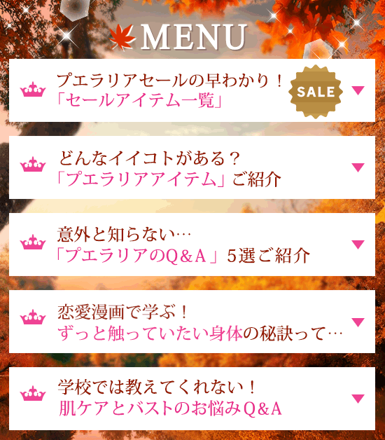 メニュー