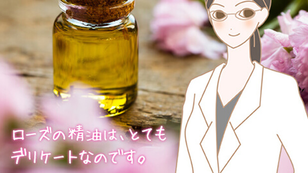 yҁz[YIC̘bF̍藧́A񂾂̂