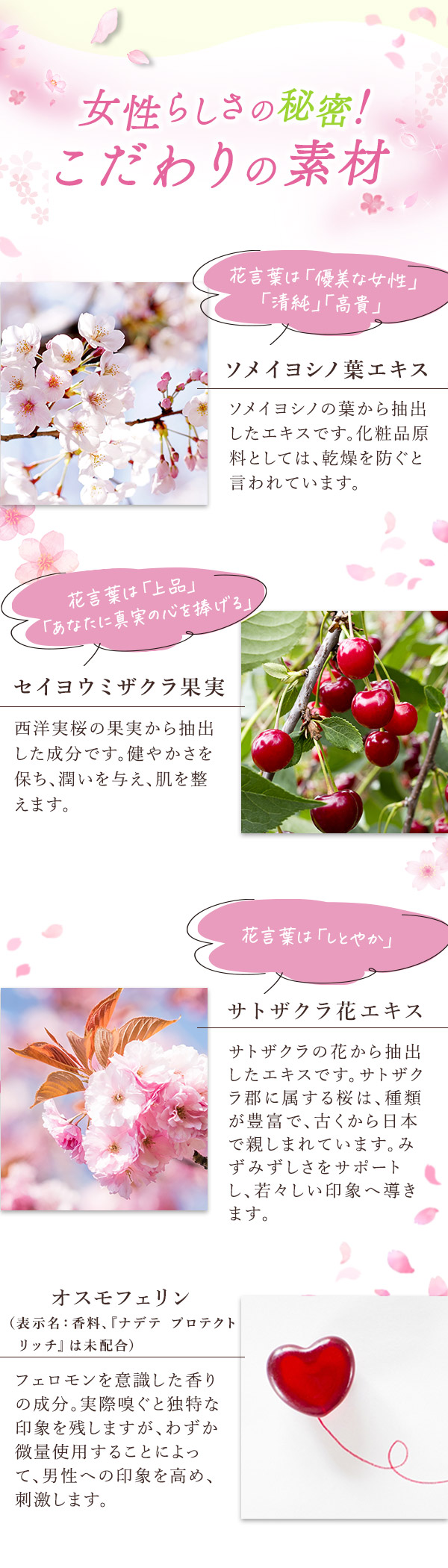TNt[@̑f