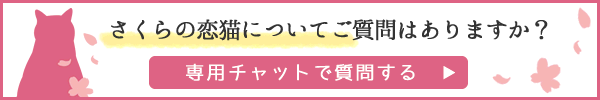 チャットボット