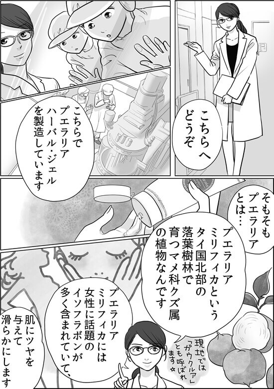 プエ開発