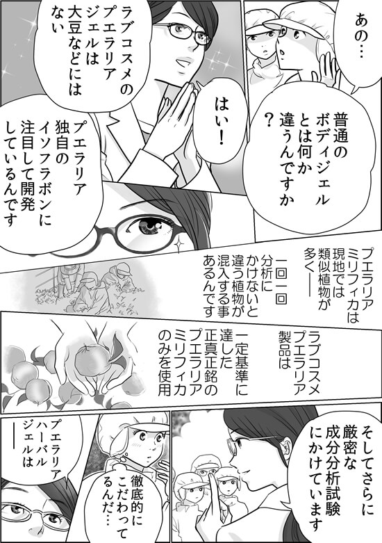プエ開発