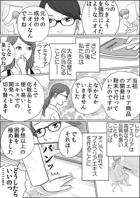 プエ開発