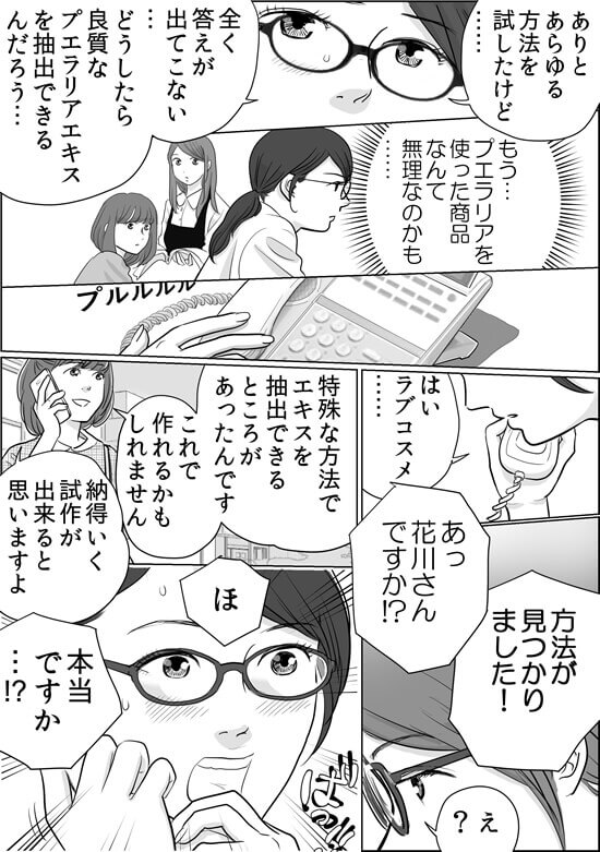 プエ開発