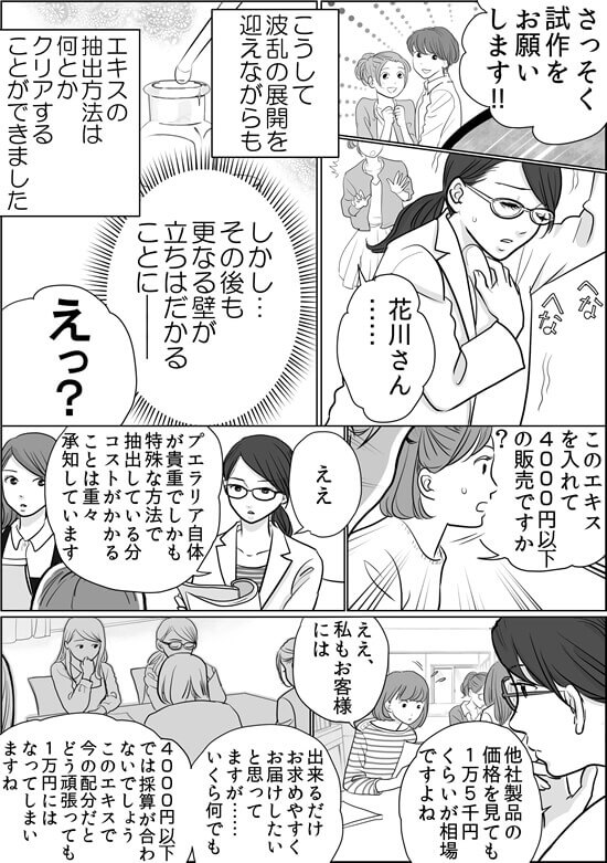 プエ開発