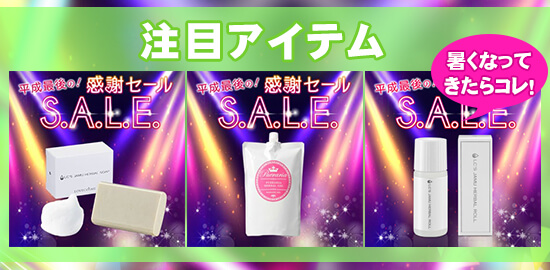 平成最後の感謝セール 注目アイテム