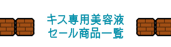 ���ӃZ�[���Q�O�Q�U|���C���i�b�v�@�L�X��p���e�t