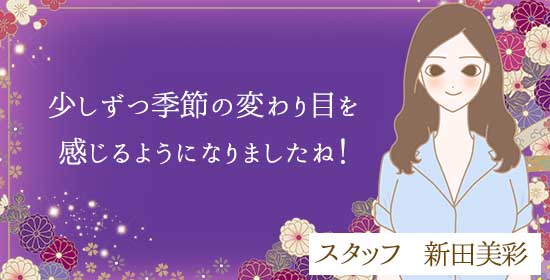 スタッフ新田