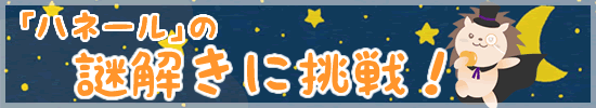 夏休みスケジュール ハネール