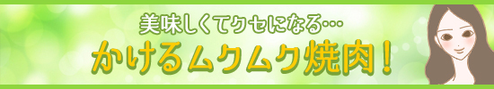 菅野さん商品枠帯