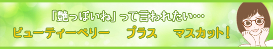 三井さん商品枠帯