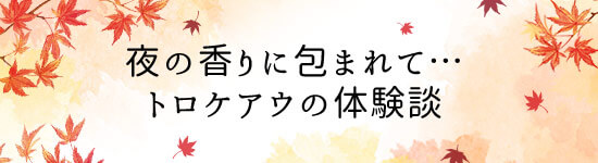 新田が選んだ体験談