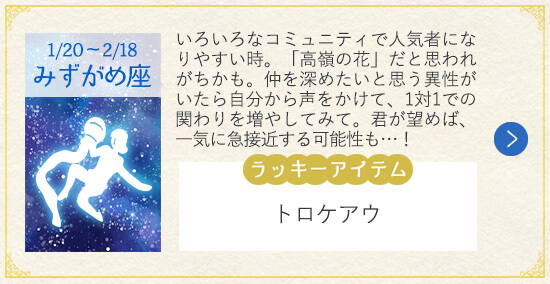 12星座 2019年夏の恋 みずがめ座