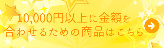継続は「美」なり大作戦キャンペーン!10000以上に金額を合わせるための商品はこちら