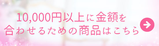 継続は「美」なり大作戦キャンペーン!10000以上に金額を合わせるための商品はこちら