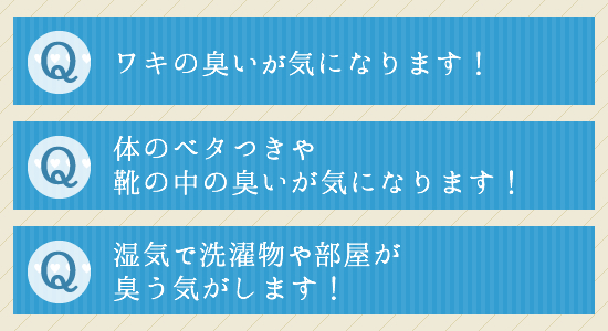 目次