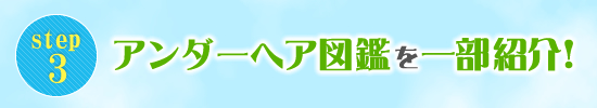 Xebv3