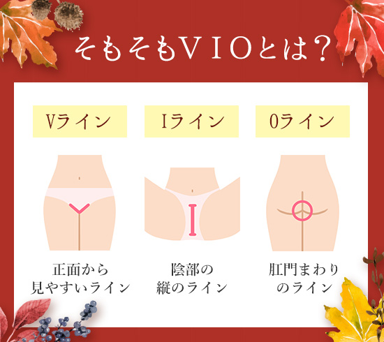 そもそもVIOとは…?