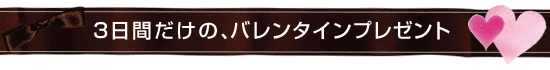 バレンタインセール2013|タイトル1