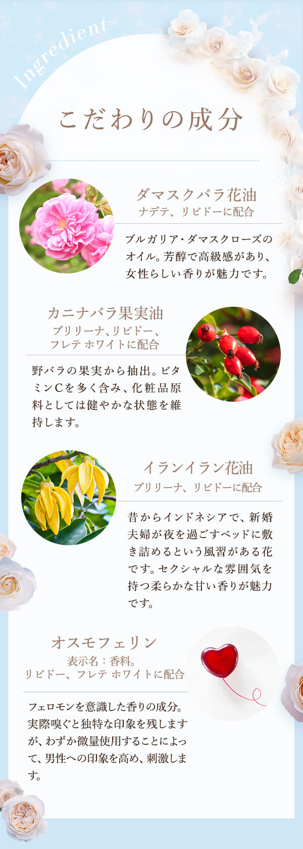 �z���C�g���[�Y�Q�O�Q�U|����