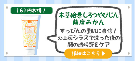 セールアイテム