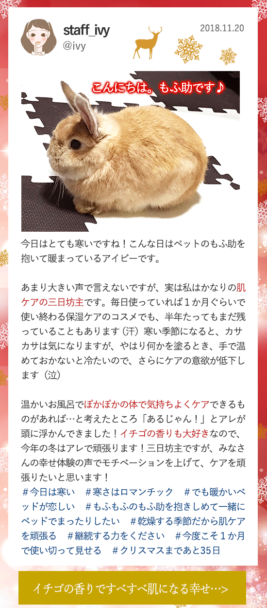 LCラブコスメアドベントカレンダー2018 11月20更新分
