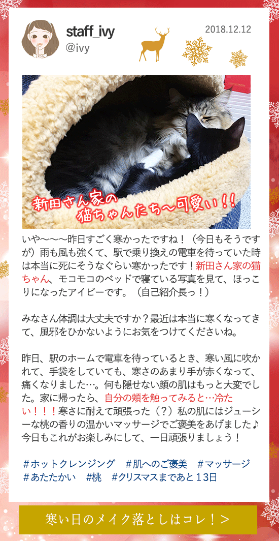 LCラブコスメアドベントカレンダー2018 12月12更新分