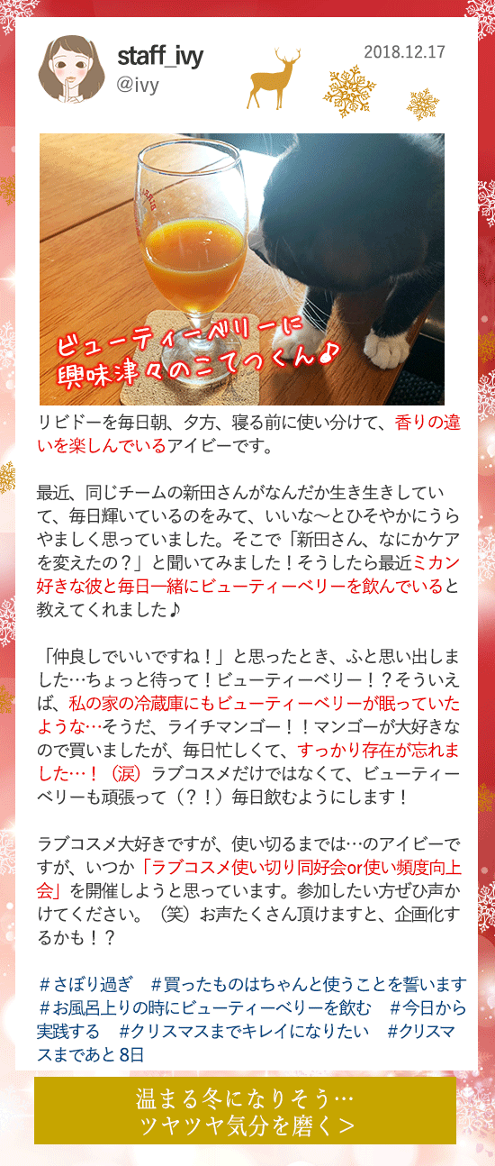 LCラブコスメアドベントカレンダー2018 12月17更新分