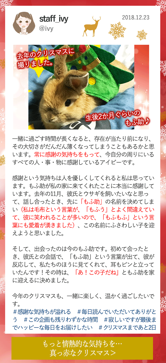 LCラブコスメアドベントカレンダー2018 12月23更新分