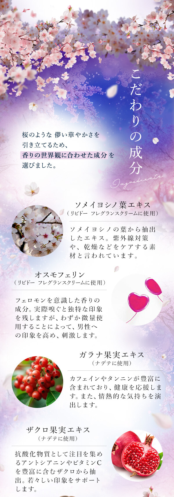 ���� �������̐���