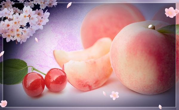 LCラブコスメ春の特別企画『夜桜〜あふれ出す、魅力〜』 あふれ出す!思いっきり官能的な魅力