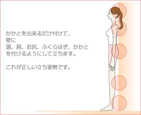 美乳バストアップへの道は