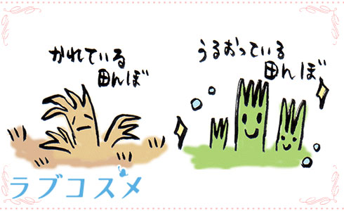 田んぼのイラスト